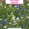 Blumenwiese Blumenteppich Blaues Feld (100 G) | Blumensamen Von Bertrand 1 Blumenwiese Blumenteppich Blaues Feld (100 G) | Blumensamen Von Bertrand -Samen Zauber 540968 Blumenwiese Blumenteppich Blaues Feld 100 g