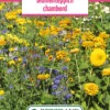 Blumenwiese Blumenteppich Chambord (100 G) | Blumensamen Von Bertrand -Samen Zauber 540970 Blumenwiese Blumenteppich Chambord 100 g