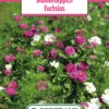Blumenwiese Blumenteppich Fuchsias (100 G) | Blumensamen Von Bertrand -Samen Zauber 540976 Blumenwiese Blumenteppich Fuchsias 100 g