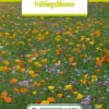 Blumenwiese Frühlingsblumen (100 G) | Blumensamen Von Bertrand -Samen Zauber 540988 Blumenwiese Fruehlingsblumen 100 g