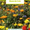 Blumenwiese Ackerwildkräutern (100 G) | Blumensamen Von Bertrand -Samen Zauber 540992 Blumenwiese Blumen der Ernten 100 g