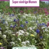 Blumenwiese Zwergenmischung (100 G) | Blumensamen Von Bertrand -Samen Zauber 541002 Blumenwiese Super Niedrige Blumen 100 g