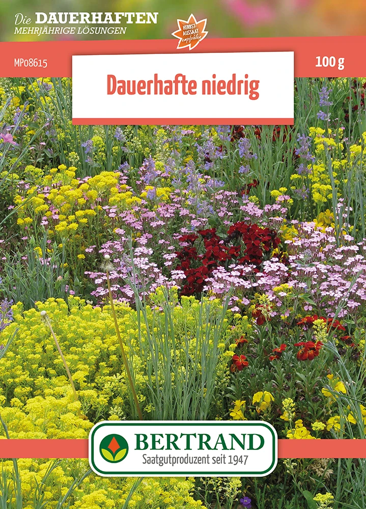 Blumenwiese Mehrjährige Niedrige Stauden (100 G) | Blumensamen Von Bertrand 3 Blumenwiese Mehrjährige Niedrige Stauden (100 G) | Blumensamen Von Bertrand