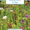 Blumenwiese Einjährige Blumen Für Vögel (100 G) | Blumensamen Von Bertrand -Samen Zauber 541008 Blumenwiese Einjaehrige Blumen fuer Voegel 100 g