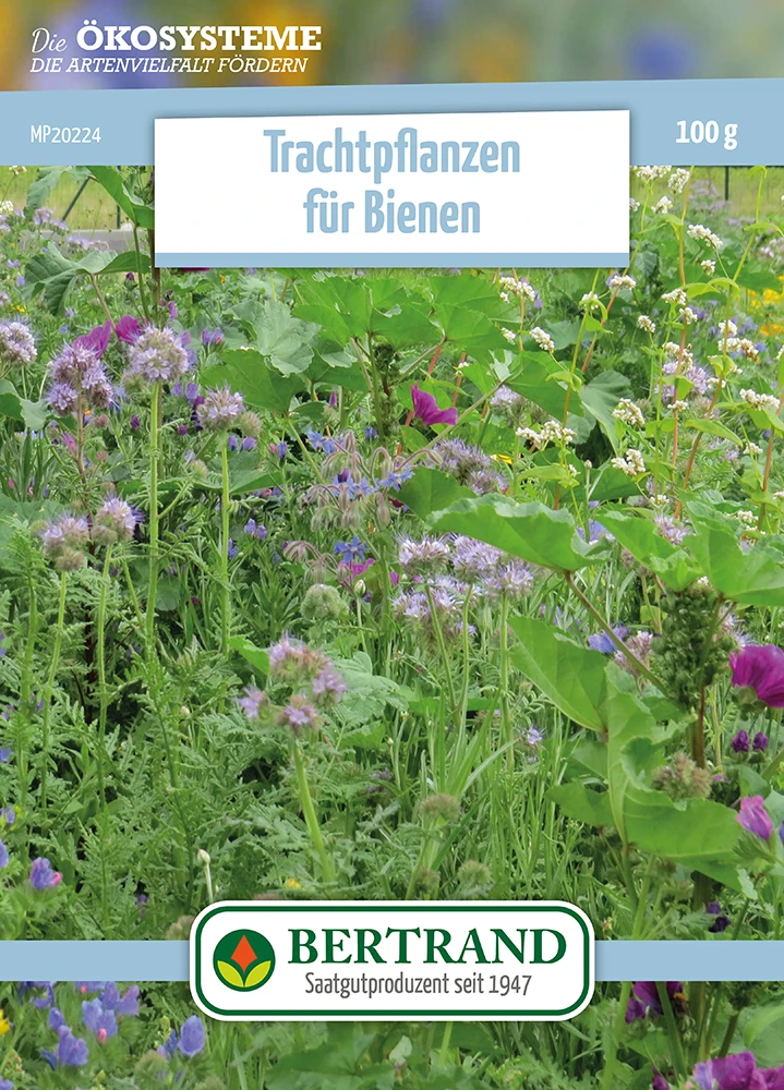 Blumenwiese Honigblumenwiese OFA Einjährig (100 G) | Blumensamen Von Bertrand 3 Blumenwiese Honigblumenwiese OFA Einjährig (100 G) | Blumensamen Von Bertrand