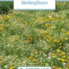 Blumenwiese Blumen Der Weinberge (100 G) | Blumensamen Von Bertrand -Samen Zauber 541018 Blumenwiese Weinbergblumen 100 g