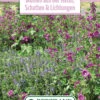 Blumenwiese Staudenmischung Für Schatten &amp; Lichtungen (100 G) | Blumensamen Von Bertrand -Samen Zauber 541025 Blumenwiese Blumen aus der Natur Schatten und Lichtungen 100 g