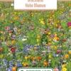 Blumenwiese Brachland Hohe Blumen (100 G) | Blumensamen Von Bertrand -Samen Zauber 541027 Blumenwiese Brachland Hohe Blumen 100 g