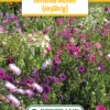 Blumenwiese Duftende Blumen (einjährig) (100 G) | Blumensamen Von Bertrand -Samen Zauber 541033 Blumenwiese Duftende Blumen einjaehrig 100 g
