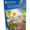 Einjährige Sommerblumenmischung (30 G) | Blumenwiese Von Kiepenkerl -Samen Zauber 542303 Einjaehrige Sommerblumenmischung 30 g 4965 0