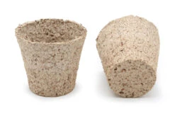 6 Cm Anzuchttopf Kokos Rund (2592 Stück) | Anzuchttöpfe Von Jiffy -Samen Zauber 542628 6 cm Anzuchttopf aus Kokos rund 2592 Stueck 30812200 jf 0