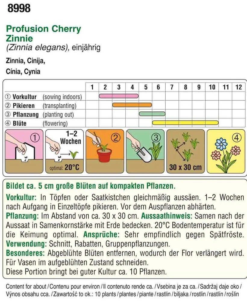 Zinnien Profusion Cherry | Zinniensamen Von Austrosaat 3 Zinnien Profusion Cherry | Zinniensamen Von Austrosaat