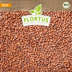 Bio-Kresse (200 G) | Bio-Kressesamen Von Flortus -Samen Zauber 543636 Bio Kresse 200 g 4