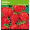 Erdbeeren Grandian F1 | Erdbeersamen Von Buzzy Seeds -Samen Zauber 544687 Buzzy Erdbeeren Grandian F1
