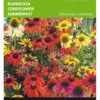 Sonnenhut Cheyenne Spirit | Sonnenhutsamen Von Buzzy Seeds 2 Sonnenhut Cheyenne Spirit | Sonnenhutsamen Von Buzzy Seeds -Samen Zauber 545063 Buzzy Sonnenhut Cheyenne Spirit