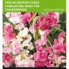 Staudenwicke Mischung | Wickensamen Von Buzzy Seeds 1 Staudenwicke Mischung | Wickensamen Von Buzzy Seeds -Samen Zauber 545068 Buzzy Staudenwicke Mischung