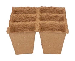6 X 6 Cm Anzuchttopf Strips (32 Stück) | Anzuchttöpfe Von Sogo -Samen Zauber 548516 6 x 6 cm Organic Toepfe strips 32 Stueck 887312 sg 2