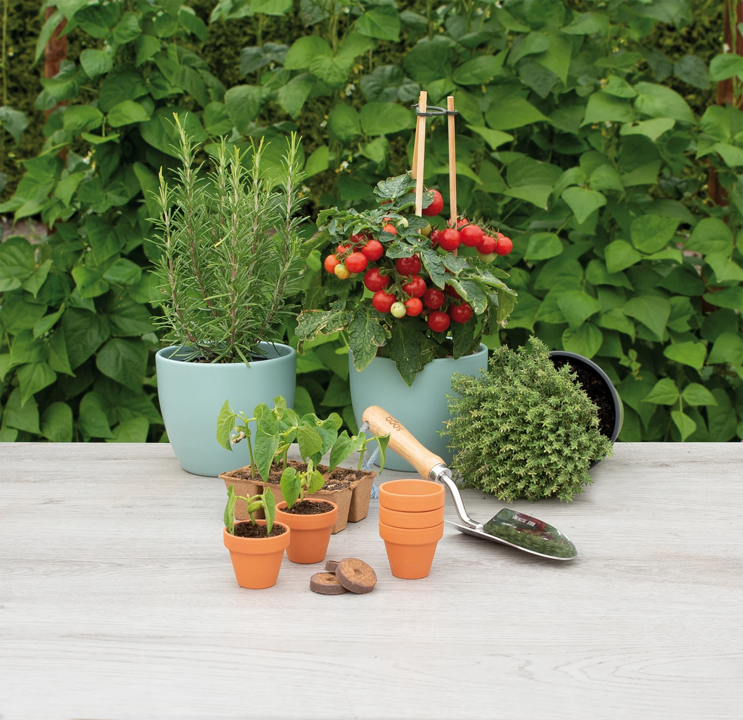 5 X 5,7 Cm Terracotta Töpfe (9 Stück) | Anzuchttöpfe Von Sogo 5 5 X 5,7 Cm Terracotta Töpfe (9 Stück) | Anzuchttöpfe Von Sogo – Bild 3