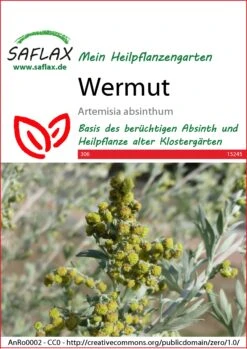 Wermut | Heilpflanzensamen Von Saflax
