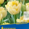 Gefüllte Frühe Tulpe Verona (10 Stück) | Tulpenzwiebeln Von Kiepenkerl -Samen Zauber 549341 Gefuellte fruehe Tulpe Verona 10 Stueck 504615 0