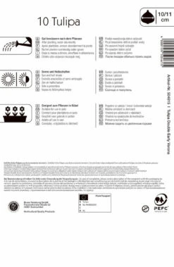 Gefüllte Frühe Tulpe Verona (10 Stück) | Tulpenzwiebeln Von Kiepenkerl -Samen Zauber 549341 Gefuellte fruehe Tulpe Verona 10 Stueck 504615 1