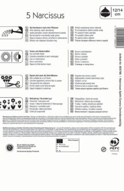 Narzissenmischung Orchideenblütige Mischung (5 Stück) | Narzissenzwiebeln Von Kiepenkerl -Samen Zauber 549376 Narzissenmischung Orchideenbluetige Mischung 5 Stueck 505766 1