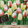 Frühlingsgarten Happy Mix (12 Stück) | Triumph-Tulpen Von Sperli 2 Frühlingsgarten Happy Mix (12 Stück) | Triumph-Tulpen Von Sperli -Samen Zauber 549480 Fruehlingsgarten Happy Mix 12 Stueck 464344 0