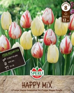 Frühlingsgarten Happy Mix (12 Stück) | Triumph-Tulpen Von Sperli