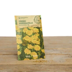 Wildblumen Set Stay Wild | BIO Wildblumensamen Von Samen Maier -Samen Zauber 549603 BIO Wildblumen Set Stay Wild A02 sm 2