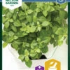 Basilikum Balkon Star | Basilikumsamen Von Nelson Garden -Samen Zauber 552128 Basilikum Balkon Star 90093 ng 0
