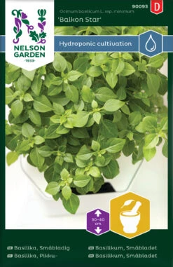 Basilikum Balkon Star | Basilikumsamen Von Nelson Garden