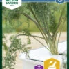 Dill Thalia | Dillsamen Von Nelson Garden -Samen Zauber 552129 Dill Thalia 90272 ng 0