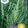 Rosmarin | Rosmarinsamen Von Nelson Garden -Samen Zauber 552207 Rosmarin 91071 ng 0
