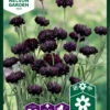 Kornblume Black Boy | Kornblumensamen Von Nelson Garden