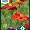 Ringelblumen Linnaeus | Ringelblumensamen Von Nelson Garden -Samen Zauber 552247 Ringelblumen Linnaeus 95644A ng 0