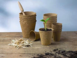 10 Cm Anzuchttopf Rund Auf Holzfaser Basis | Anzuchttöpfe Von FLORTUS -Samen Zauber 552305 10 cm Anzuchttopf rund auf Holzfaser Basis 15 Stueck 2000 0597 5