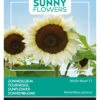 Sonnenblume White Moon F1 | Sonnenblumensamen Von Buzzy Seeds 2 Sonnenblume White Moon F1 | Sonnenblumensamen Von Buzzy Seeds -Samen Zauber 552553 Sonnenblume White Moon F1 80827 by 0