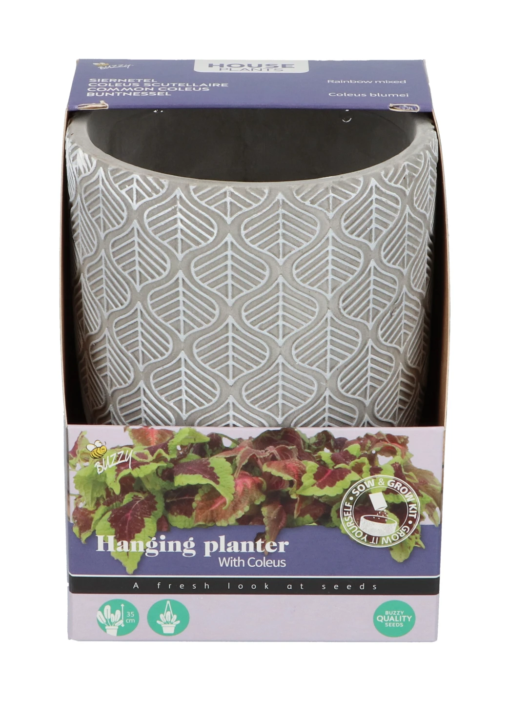 Buntnessel | Buntnesselsamen Von Buzzy Seeds 2 Buntnessel | Buntnesselsamen Von Buzzy Seeds