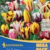Mega-Pack Rembrandt-Tulpen Mischung (14 Stück) | Tulpenzwiebeln Von Kiepenkerl