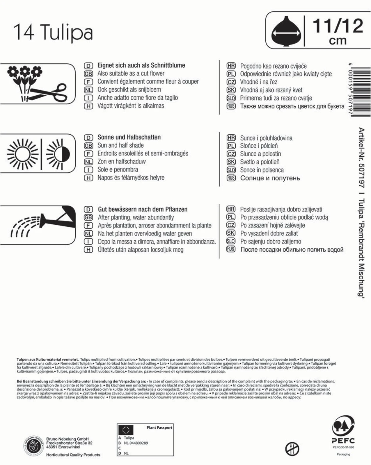 Mega-Pack Rembrandt-Tulpen Mischung (14 Stück) | Tulpenzwiebeln Von Kiepenkerl 4 Mega-Pack Rembrandt-Tulpen Mischung (14 Stück) | Tulpenzwiebeln Von Kiepenkerl – Bild 2