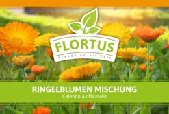 Ringelblumen Mischung | Blumenwiese Von FLORTUS -Samen Zauber 554533 Ringelblumen Mischung 1 kg 530747 Ringelblumen Mischung 1 kg 2000 0209 2