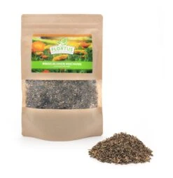 Ringelblumen Mischung | Blumenwiese Von FLORTUS -Samen Zauber 554533 Ringelblumen Mischung 2000 0727 0