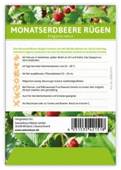 Monatserdbeere Rügen (100 Tütchen) | Erdbeersamen Von FLORTUS -Samen Zauber 555104 Monatserdbeere Ruegen 100 Tuetchen 2000 0771 100x 2