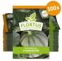 Zuckermelone Charentaise (100 Tütchen) | Zuckermelonensamen Von FLORTUS 7 Zuckermelone Charentaise (100 Tütchen) | Zuckermelonensamen Von FLORTUS -Samen Zauber 555107 Zuckermelone Charentais 100 Tuetchen 2000 0774 100x 0