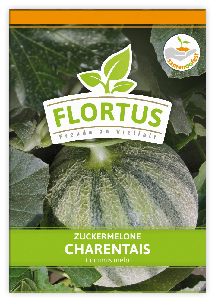 Zuckermelone Charentaise (100 Tütchen) | Zuckermelonensamen Von FLORTUS 3 Zuckermelone Charentaise (100 Tütchen) | Zuckermelonensamen Von FLORTUS