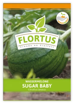 Wassermelone Sugar Baby (100 Tütchen) | BIO Wassermelonensamen Von FLORTUS -Samen Zauber 555109 Wassermelone Sugar Baby 100 Tuetchen 2000 0776 100x 1