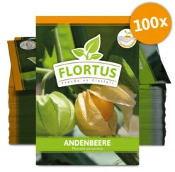 Andenbeere (100 Tütchen) | Andenbeerensamen Von FLORTUS -Samen Zauber 555111 Andenbeere 100 Tuetchen 2000 0778 100x 0