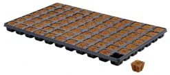Eazy Plug Anzuchtwürfel CT77, 3,5 X 3,5 Cm, Tray Mit 77 Stk. | Anzuchttray -Samen Zauber 557344 Eazy Plug Anzuchtwuerfel CT77 3 5 x 3 5 cm Tray mit 77 Stk 533627 Eazy Plug Anzuchtwuerfel 3 5x3 5 cm Tray mit 77 St