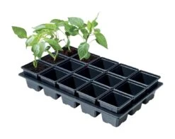 38 X 23,5 X 7,5 Cm Professionelles Anzucht-Komplettset Klein | Anzucht-Komplettset Von Garland