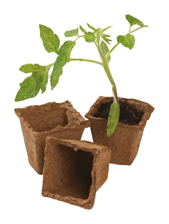 6 Cm Vierkantfasertöpfe | Anzuchttöpfe Von Garland 4 6 Cm Vierkantfasertöpfe | Anzuchttöpfe Von Garland – Bild 2